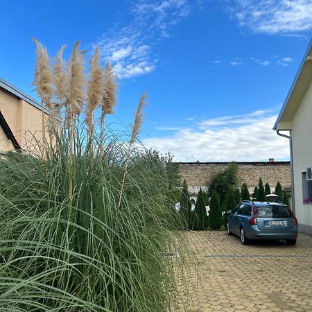 Nest Zen Garden Appartement Novi Sad Buitenkant foto