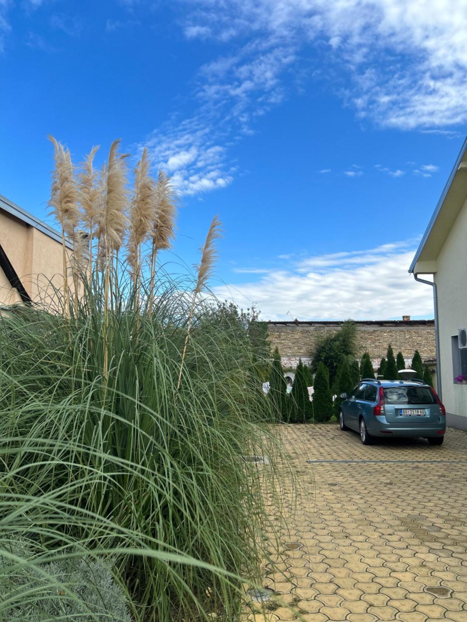 Nest Zen Garden Appartement Novi Sad Buitenkant foto
