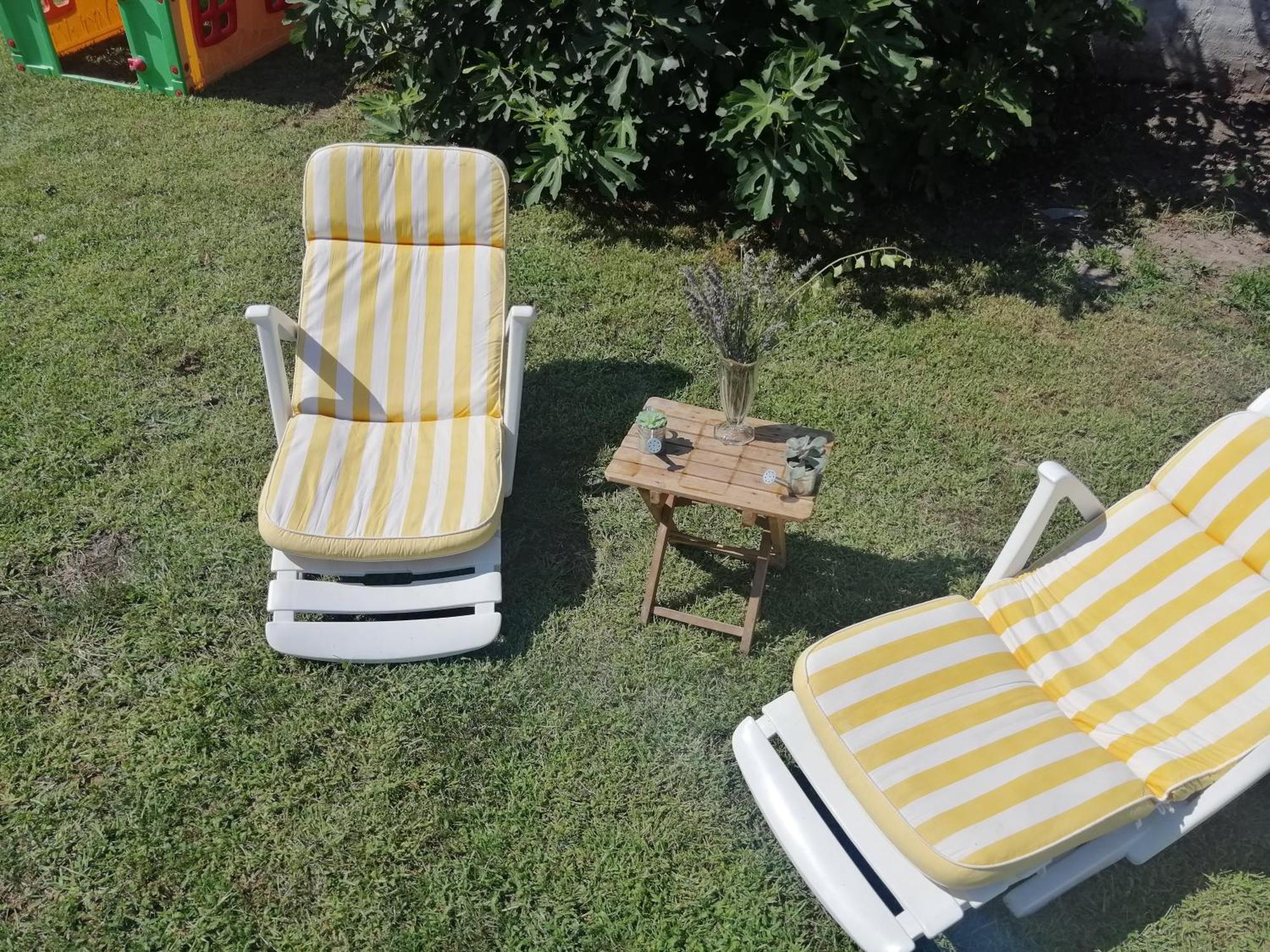 Nest Zen Garden Appartement Novi Sad Buitenkant foto